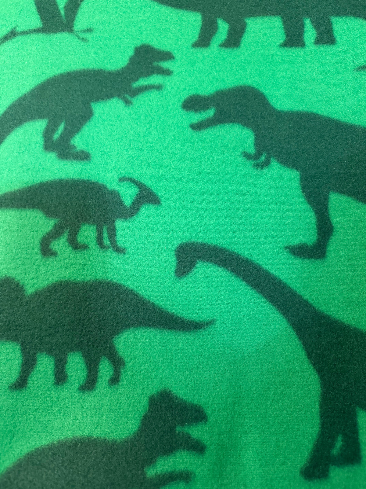 Green dinosaur car seat poncho